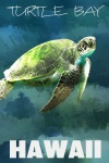Cartaz artístico da tartaruga de mar