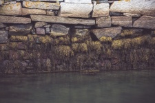 Mur d'algues à marée basse