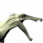 Spinosaurus Bust