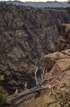 Steep Cliffside of Royal Gorge