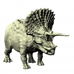 Triceratops 3d kreslení