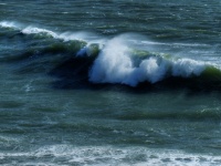 Wave Curl Ocean Scenic