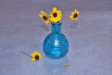 Wildflowers gialli in vaso blu