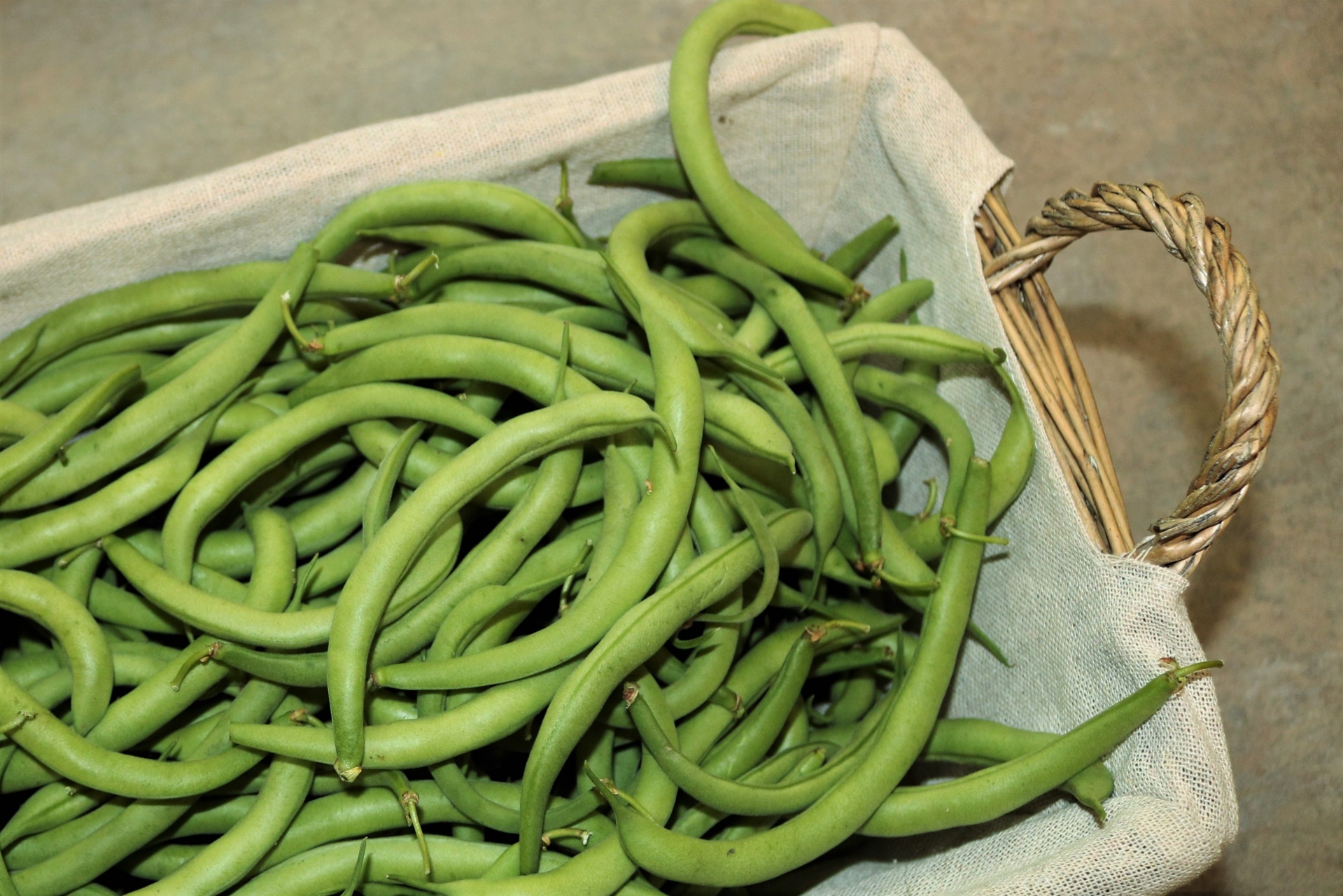 Fresh Green Beans In Basket Free Stock Photo - Public Domain Pictures