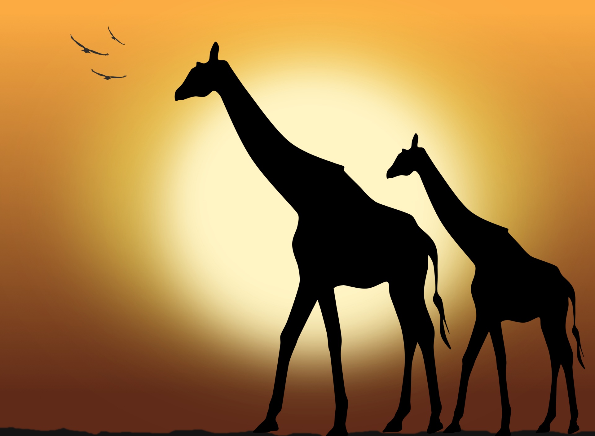 Giraffe Silhouette Free Stock Photo - Public Domain Pictures