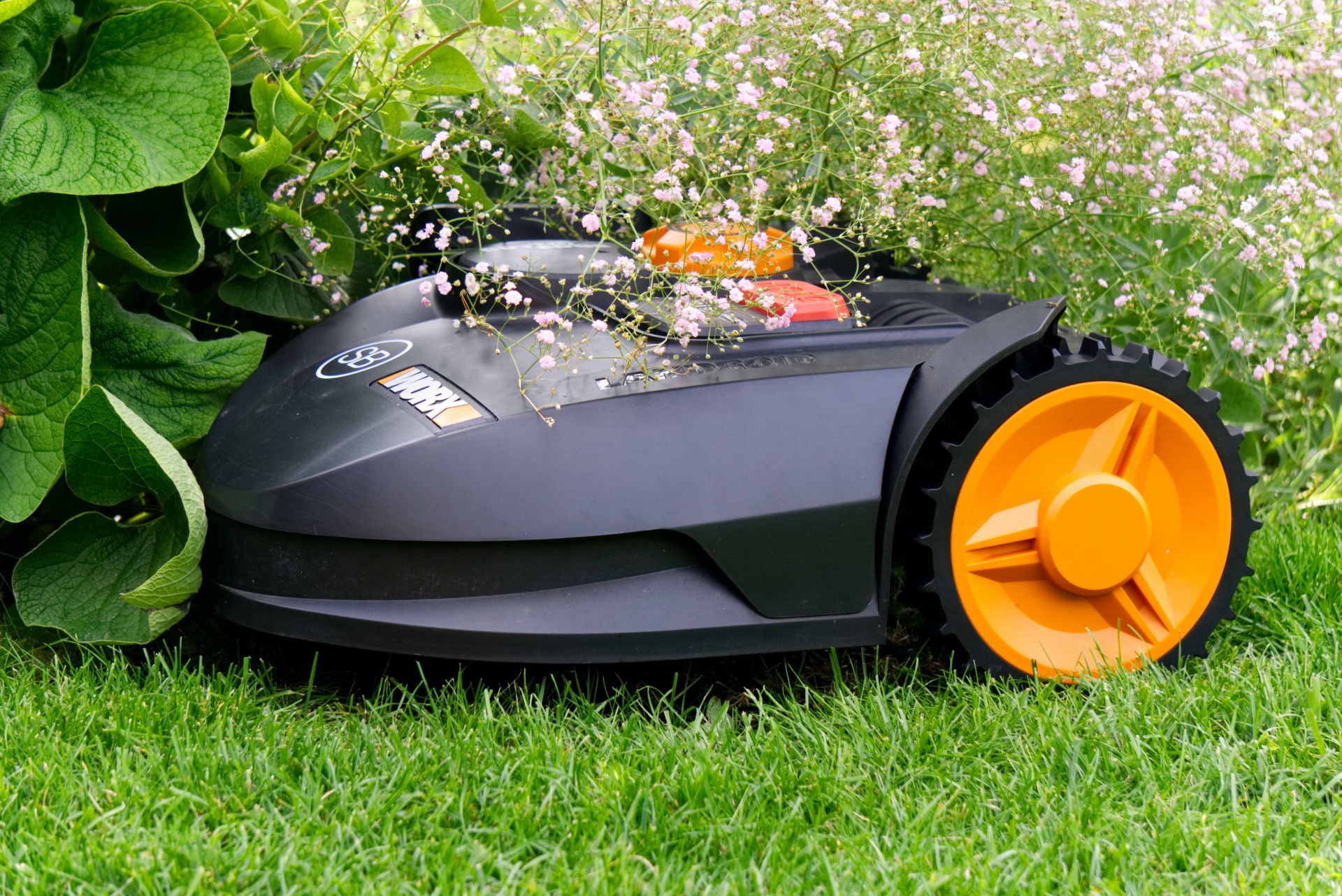 mower-free-stock-photo-public-domain-pictures
