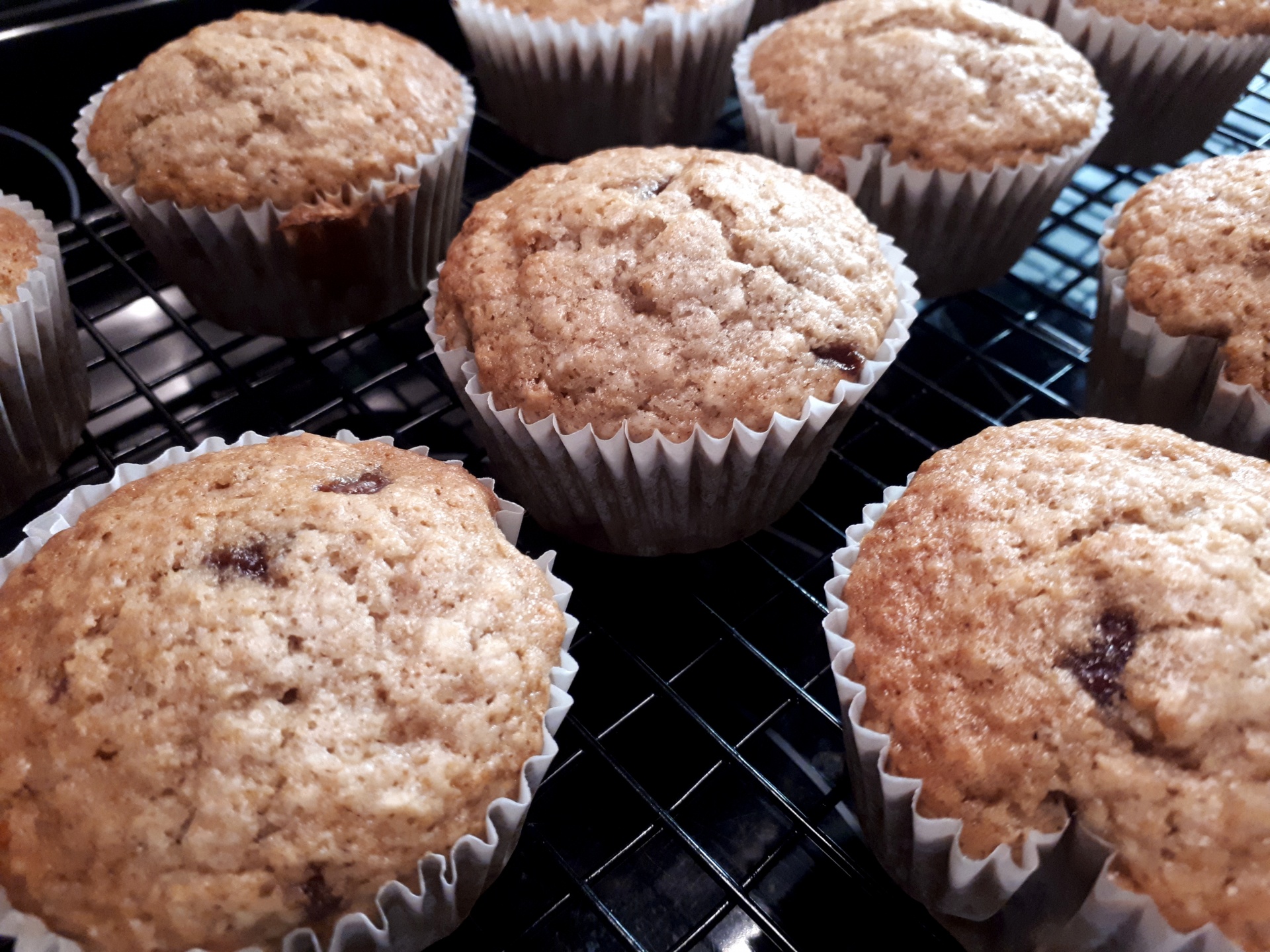 Muffins Free Stock Photo - Public Domain Pictures