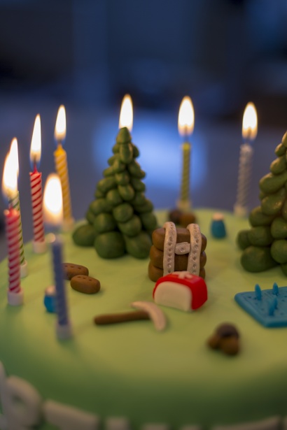 Birthday Cake Free Stock Photo - Public Domain Pictures