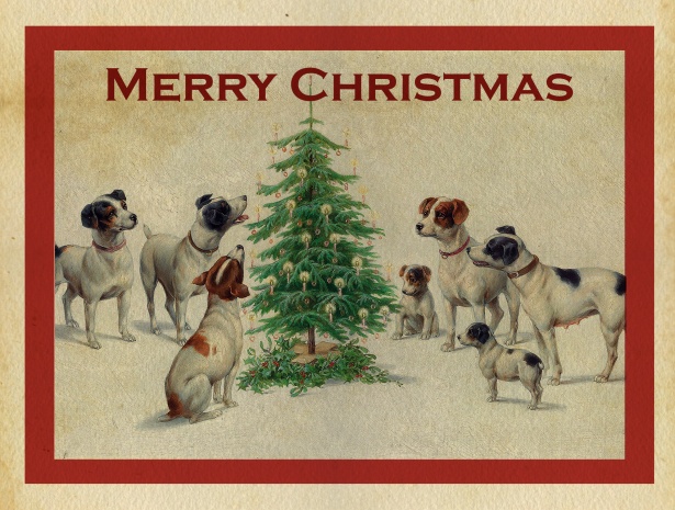 Royal Mail Post Victorian Dog Traditional Nostalgic Christmas Xmas Card 
