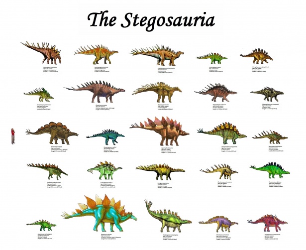 Dinosaur Chart