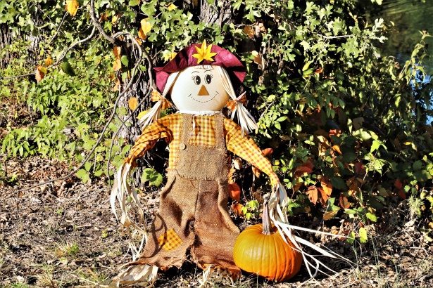 Details about   Fall Friends Scarecrow & Pumpkin 