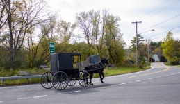 Carruagem Amish