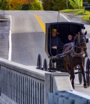 Amish Couple