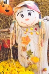 Autumn Scarecrow