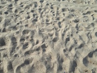 Beach Sands