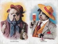 Beer Bar Cani Patroni Regolari