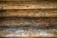 Beige wall from wooden logs