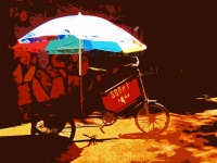Bicycle cart with umbrella cutout