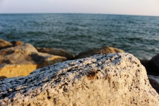 Boulders And Ocean Background