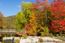 Bridge in forest in autumn