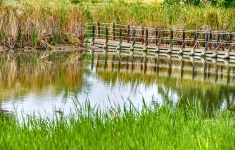 Bruggang over moeraslandwater