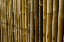 Sfondo di bambù marrone