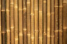 Brązowy bambusowy tło