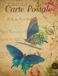 Pillangó Vintage virágos képeslap