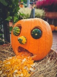 Carved Pumpkin