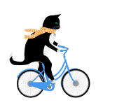 Bicicleta montando gato