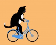 Rower jeździecki dla kota