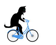 Kat rijden fiets