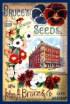 Catálogo de semillas vintage 12