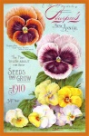 Vintage de catálogo de sementes 7
