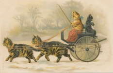 Les chats tirent des chats dans un chari