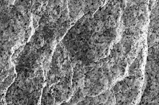 Texture de roche calcaire noir et blanc