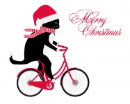 Karácsonyi macska lovaglás kerékpár