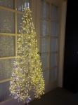 Janela e árvore de Natal