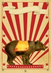 Niedźwiedź cyrkowy plakat retro