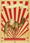 Cartaz de circo retrô camelo