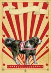 Cão de cartaz retro circo
