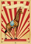 Affiche rétro cirque girafe