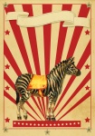 Zebra de cartaz retrô de circo