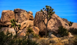 Boulders deșert