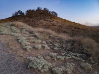 Desert Hill Landscape