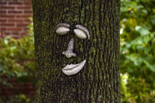 Face à un arbre