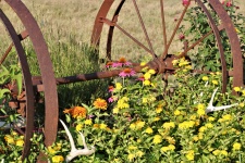 Jardim de flores e rodas de carroça