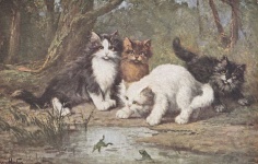 Cztery koty oglądają żaby skaczące w bas