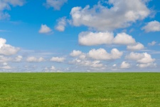Gras Und Himmel Hintergrund