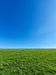 Zelená tráva a modrá obloha